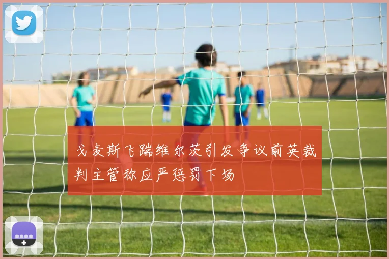 戈麦斯飞踹维尔茨引发争议前英裁判主管称应严惩罚下场
