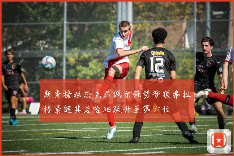 新秀榜动态克尼佩尔强势登顶弗拉格紧随其后哈珀跃升至第六位
