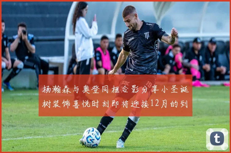 杨瀚森与奥登同框合影分享小圣诞树装饰喜悦时刻即将迎接12月的到来