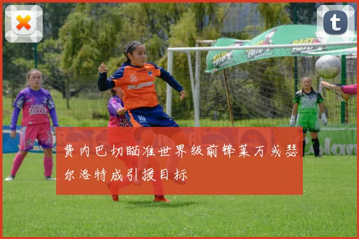 费内巴切瞄准世界级前锋莱万或瑟尔洛特成引援目标